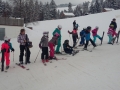 Skitag Volksschule Langen 2018 (17)