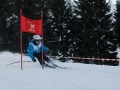 Verreinsrennen 2014 (6)