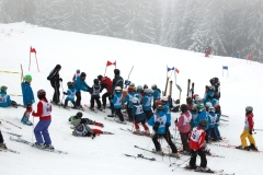 Vereinsrennen 03.02.2013