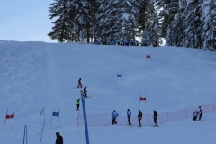 Vereinsrennen 31.01.2015